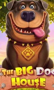 The Big Dog House