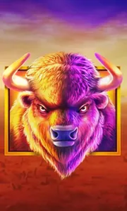 Buffalo King