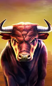 Black Bull